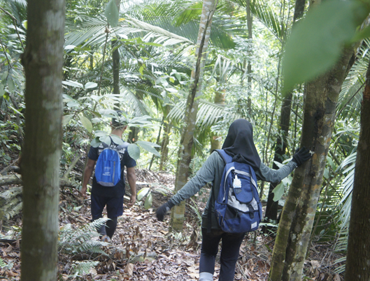 bukit beror 1